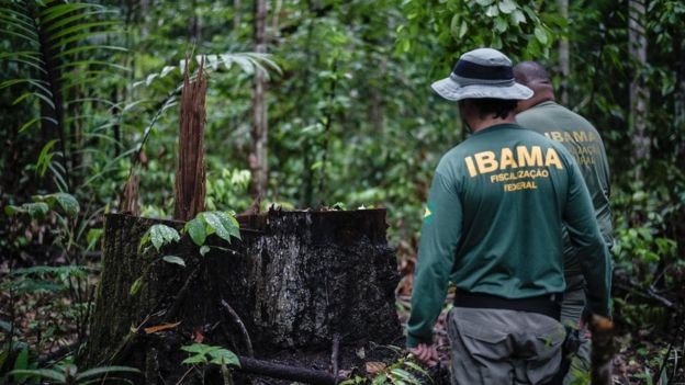 BBC: Grupo de trabalho do Ministério Público Federal e do Ibama realizou mais 2,5 mil ações judiciais contra o desmatamento, mas nenhuma com sentenças definitivas (Foto: FELIPE WERNECK/IBAMA VIA BBC)