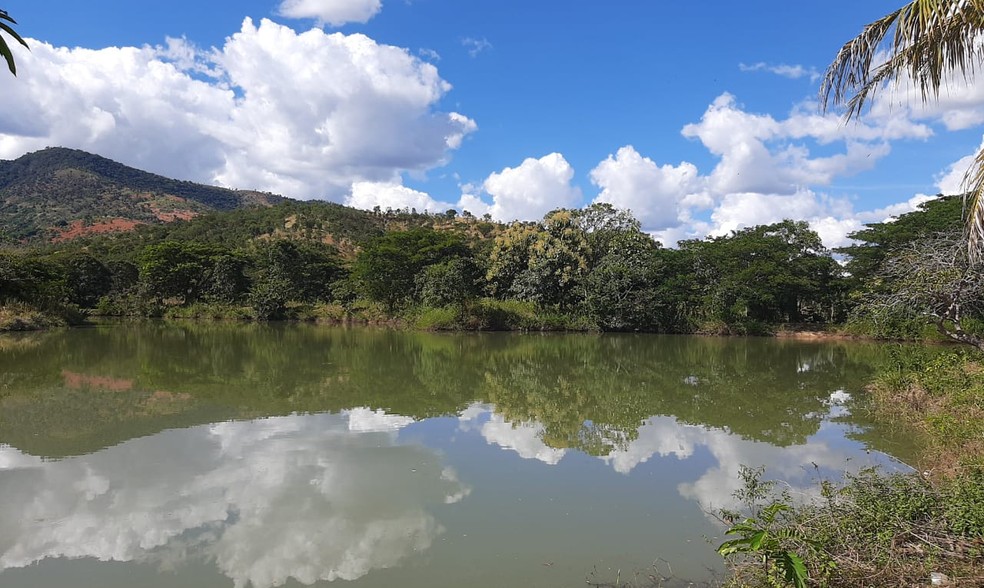Lagoa em zona rural de Alpercata onde o corpo Adriana Paulo Silva foi encontrado boiando  &mdash; Foto: Ronalt Lessa/Inter TV dos Vales 