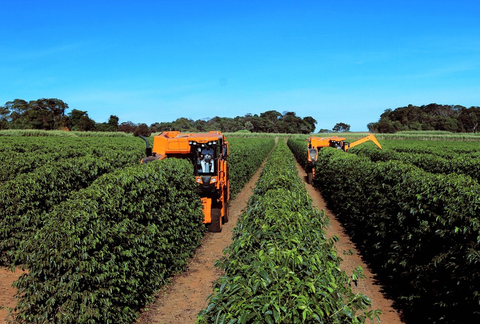 Cultura do café envolve elevado custo, sendo que a colheita corresponde a cerca de 40% do valor de produção — Foto: Jacto Agrícola/Divulgação