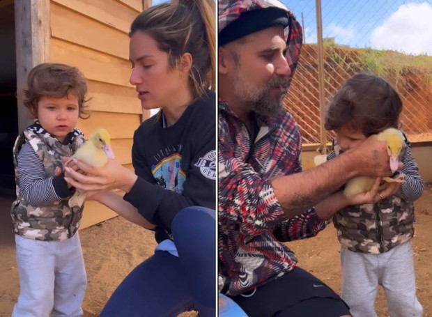 Giovanna Ewbank e Bruno Gagliasso mostram a alegria de Zyan ao ganhar filhotes de pato (Foto: Instagram/ @gioewbank/ Reprodução)