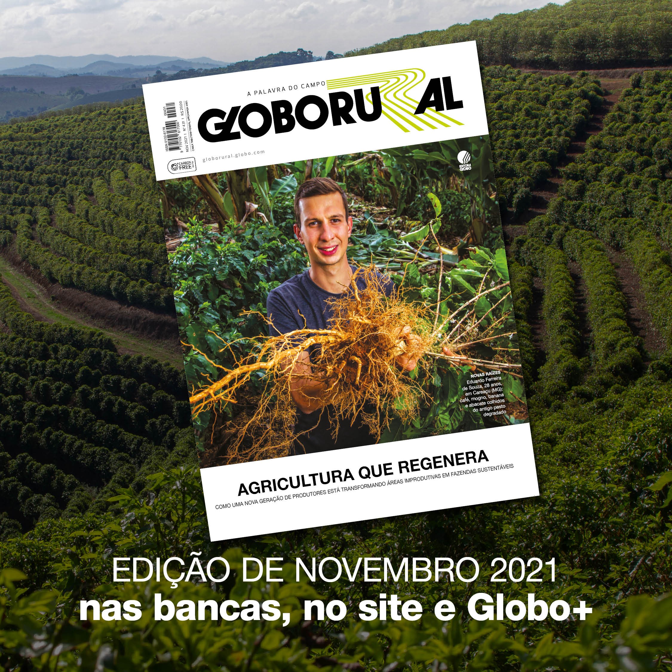 Capa da edição de novembro da Revista Globo Rural (Foto: Estúdio de Arte/Globo Rural)
