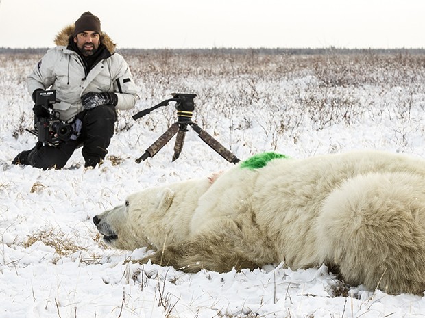 Cristian Dimitrius ficou cara a cara com os ursos polares (Foto: Gshow)
