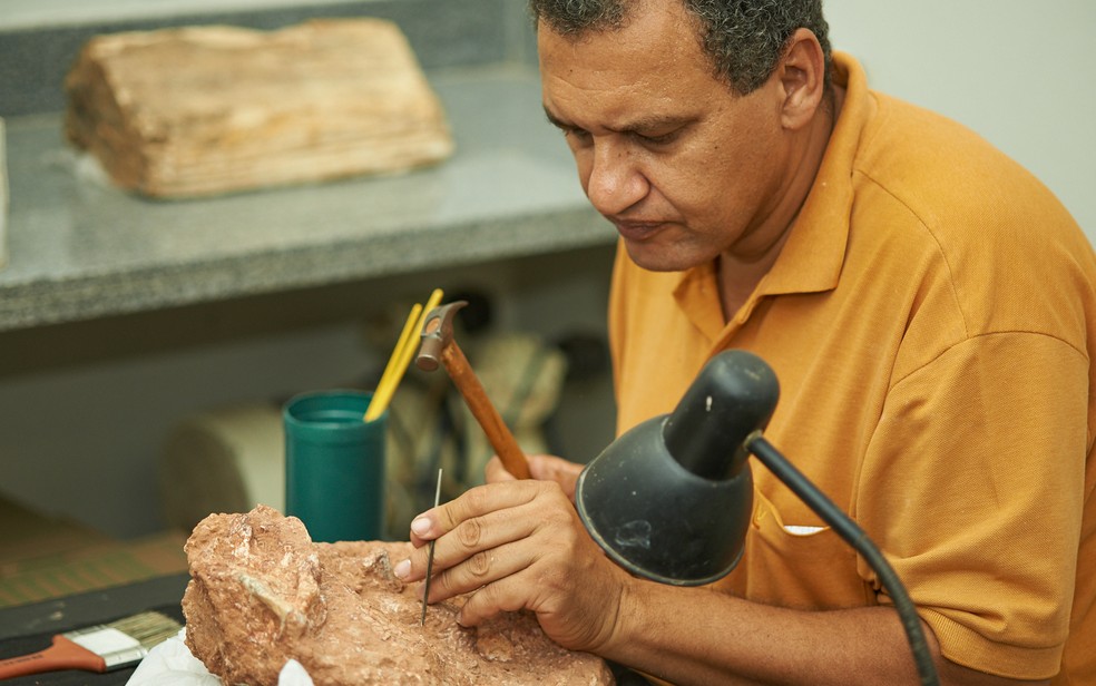 O auxiliar de paleontologia Cledinei Aparecido Francisco prepara fóssil no Museu de Paleontologia de Monte Alto, SP — Foto: Érico Andrade/G1/Arquivo