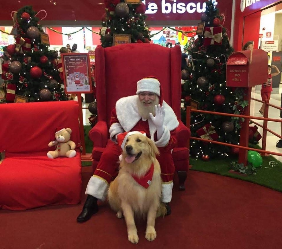 Shoppings De Sorocaba Iniciam Programacao De Natal Sorocaba E