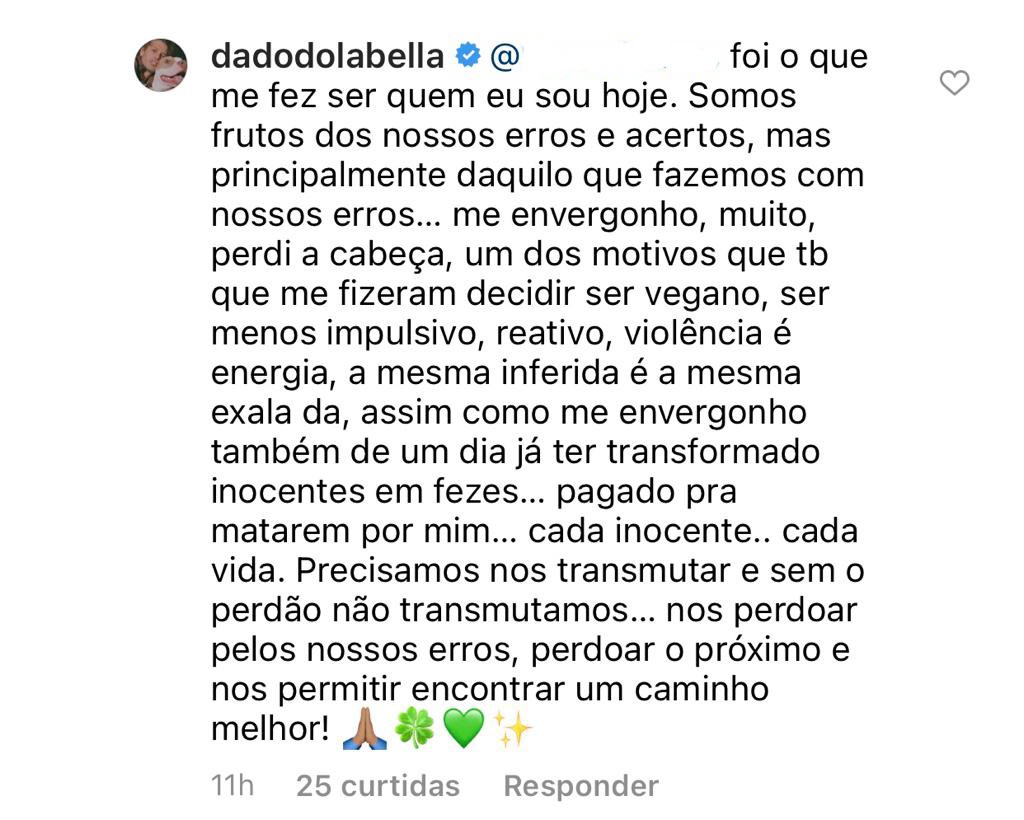 Dado Dolabella responde internauta sobre tapa que deu em Luana Piovani (Foto: Reprodução/Instagram)