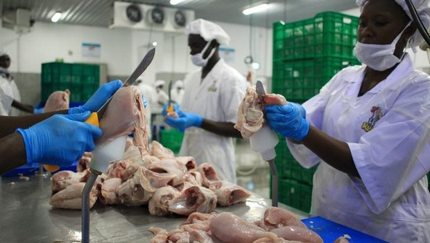 BRF- frango - exportação - venda de frango - indústria  (Foto: REUTERS/James Akena)