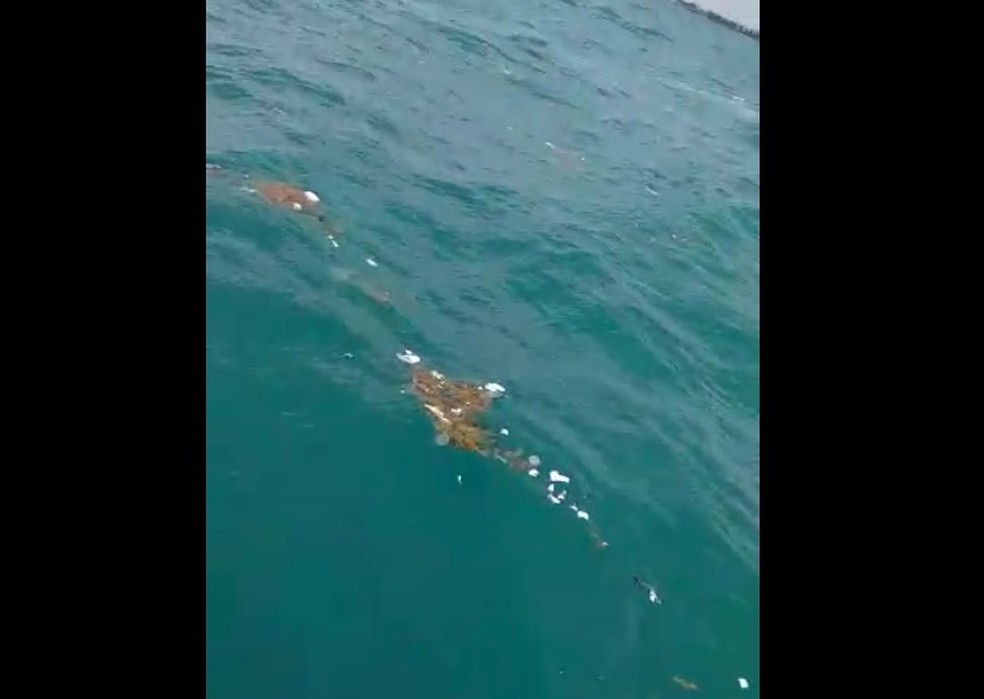 Lixo foi visto no mar no RN — Foto: Reprodução