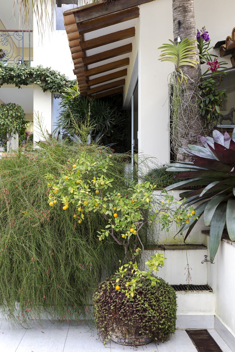 Casa de Ronnie Von tem 3 mil m² com jardins, adega e objetos de coleção (Foto: Ricardo Bassetti: www.ricardobas)