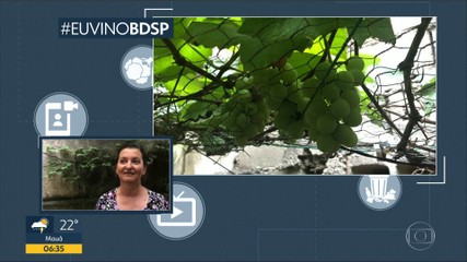 VÍDEOS: Veja as reportagens do Quadro Verde do Bom Dia SP | São Paulo | G1