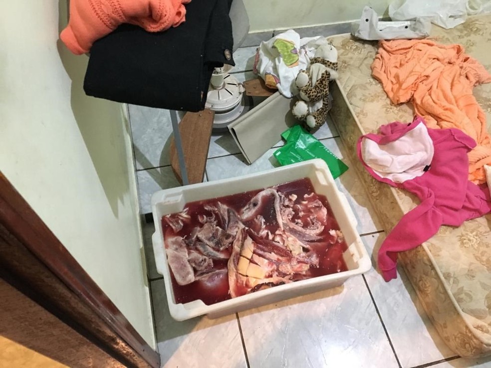 Condições de armazenamento das carnes era precário — Foto: Polícia Militar/Divulgação