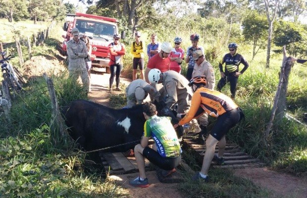Grupo de ciclistas ajuda a resgatar égua presa em fazenda de Goiânia GOiás (Foto: Ricardo Régis/Vc no G1)