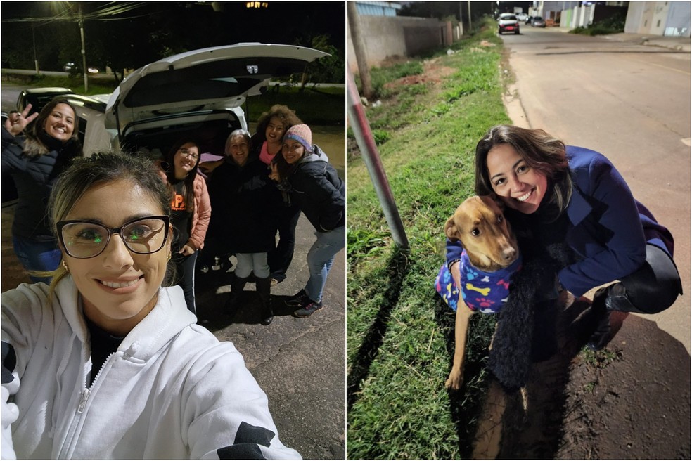 Durante frio intenso, voluntários distribuem agasalhos e cobertores para animais de rua em Itapetininga — Foto: UIPA/ Divulgação