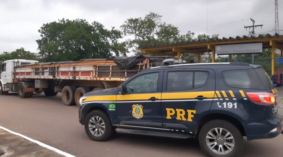 Homem &eacute; detido com carga de madeira ilegal, em rodovia na Bahia &mdash; Foto: Foto: PRF/ Divulga&ccedil;&atilde;o