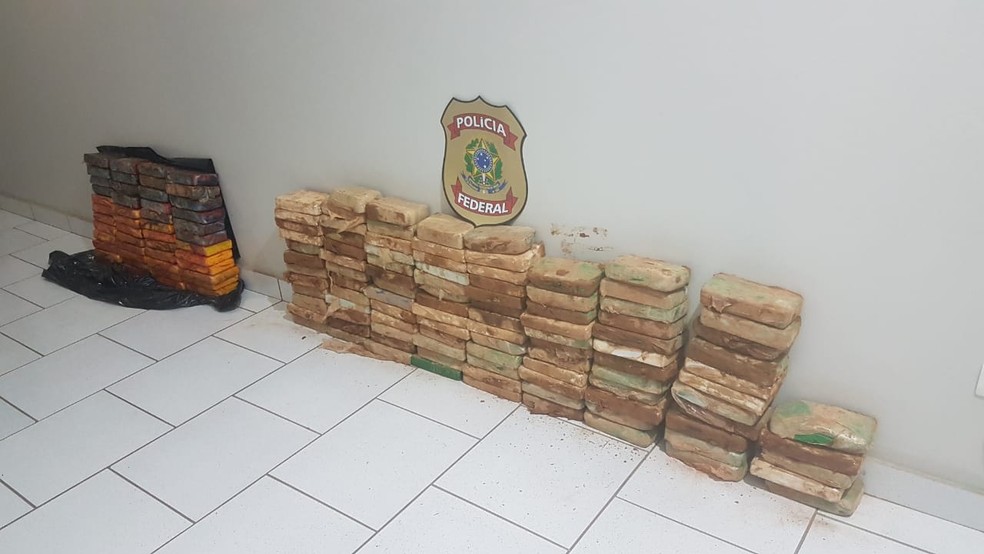 Dois motoristas são presos com 159 kg de cocaína em veículos parados na BR-163 em Mato Grosso — Foto: Polícia Federal de Mato Grosso/Assessoria