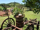 Agricultores recebem visitantes em circuitos rurais no oeste do Paraná