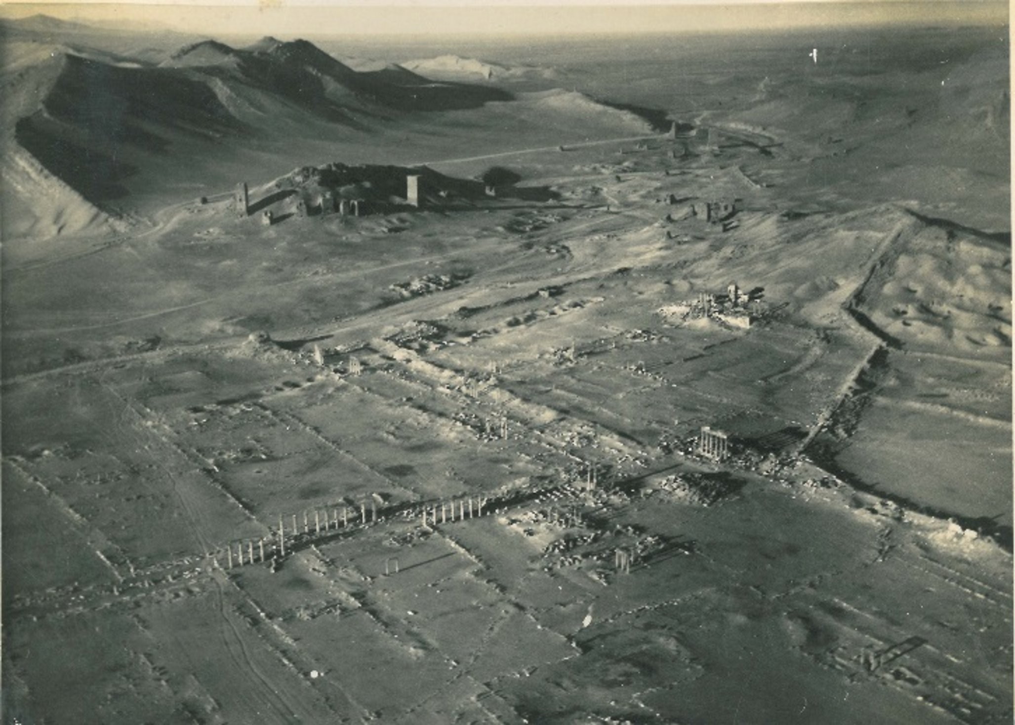 Palmira e seus arredores imediatos, na década de 1920  (Foto: Universidade de Aarhus/ Rubina Raja and Palmyra Portrait Project.)