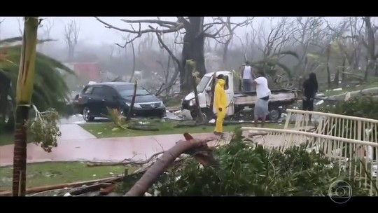 Mulher abriga 97 cachorros para protegê-los do furacão nas Bahamas