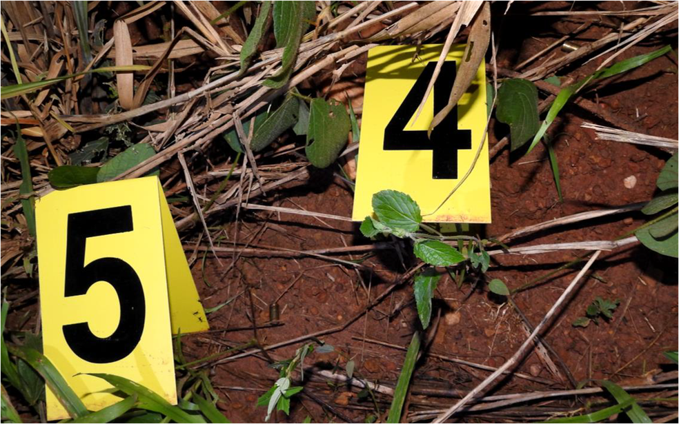 OperaÃ§Ã£o Luger desvendou rede de assassinatos em Pontes e Lacerda â Foto: PolÃ­cia Civil de Mato Grosso/Assessoria