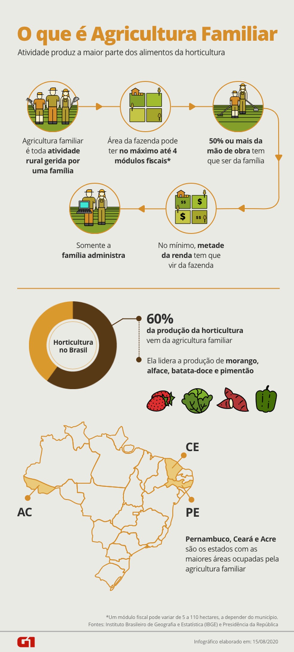 O que é Agricultura Familiar — Foto: Arte/G1