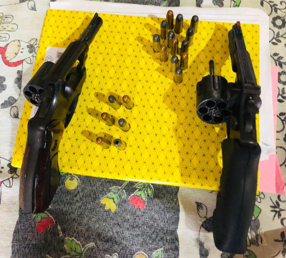 Armas foram apreendidas na Operação Dreno em Rondônia — Foto: Polícia Civil/Divulgação