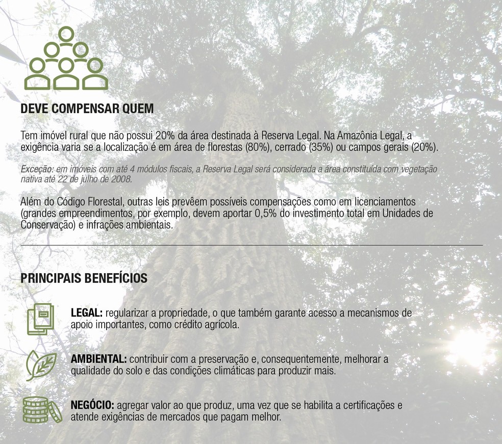  — Foto: Revista Globo Rural