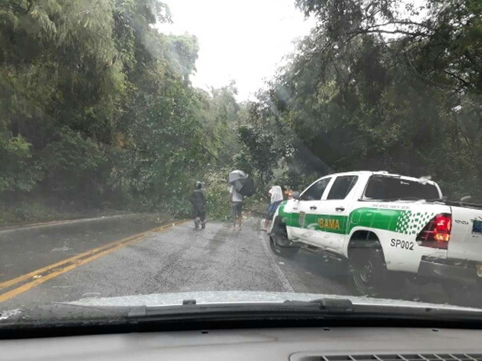 Barreira desliza na rodovia Rio-Santos em São Sebastião. — Foto: Gilberto Alves 