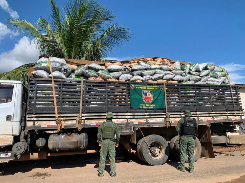 Ação foi realizada pelo Batalhão Ambiental, da Polícia Militar, durante a operação “Tamoiotatá”. — Foto: Divulgação