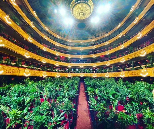Teatro em Barcelona reabre com show de música para 2 mil plantas  (Foto: Reprodução / Instagram)