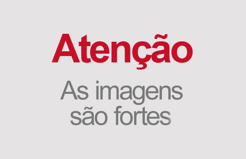 Atenção: as imagens das vítimas abaixo são fortes (Foto: Editoria de Arte/G1)