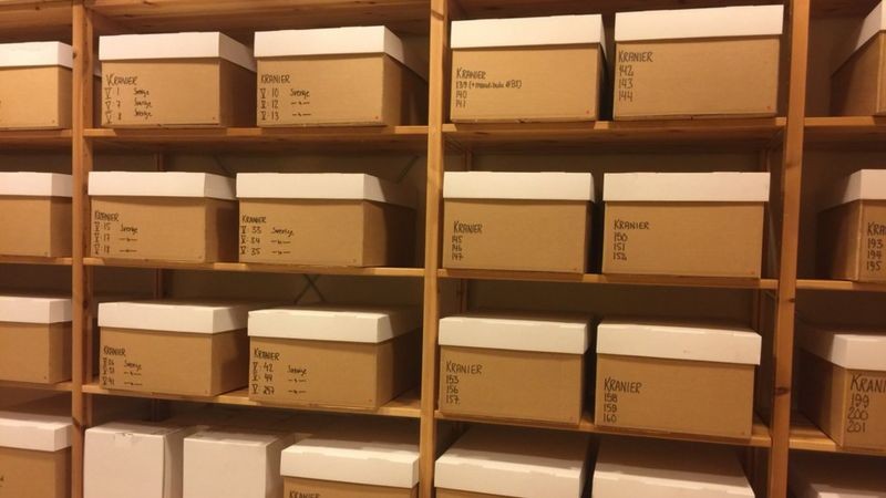 Instituto Karolinska abriga uma macabra coleção de quase 800 crânios humanos (Foto: ANN GUSTAVSSON/KAROLINSKA INSTITUTE via BBC News )