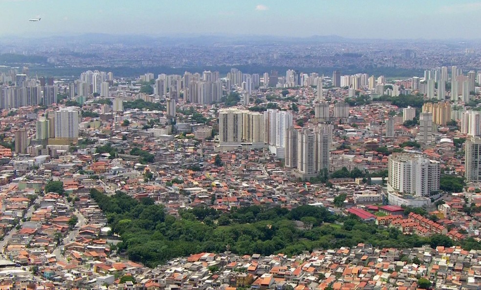 Sobe para 14 o número de mortos por febre amarela em Guarulhos ...