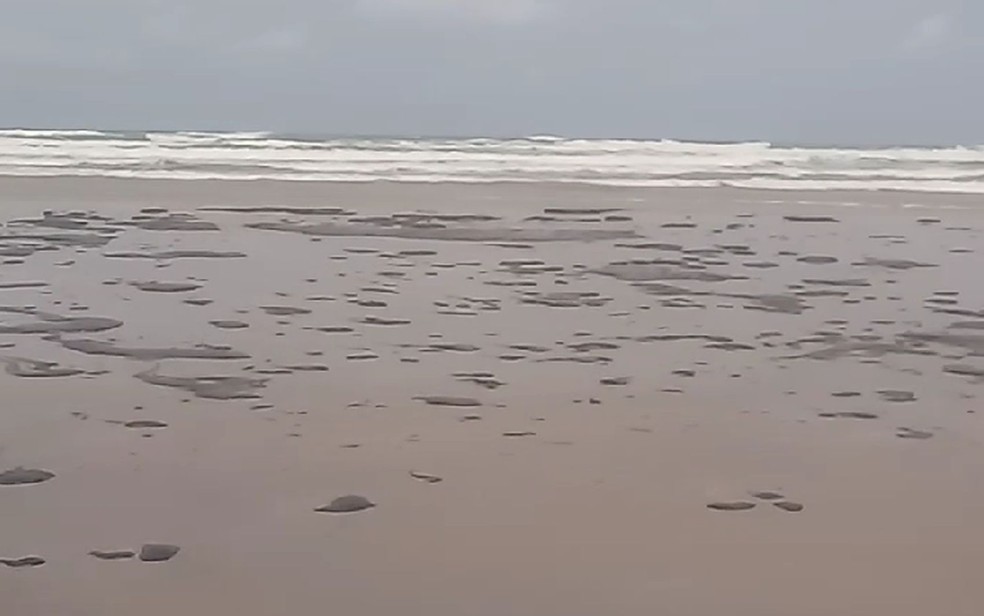 Manchas de óleo na Praia do Abaís, em Estância (SE) — Foto: Adema/SE