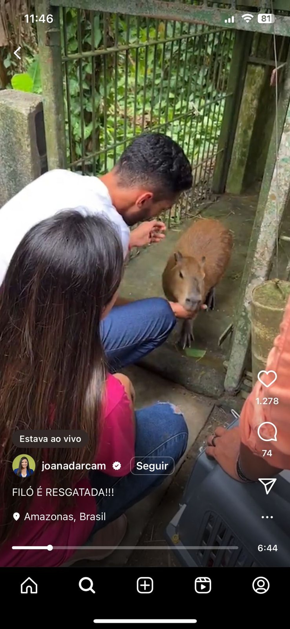 Animal foi entregue neste domingo (30), após ordem judicial. — Foto: Reprodução/Instagram