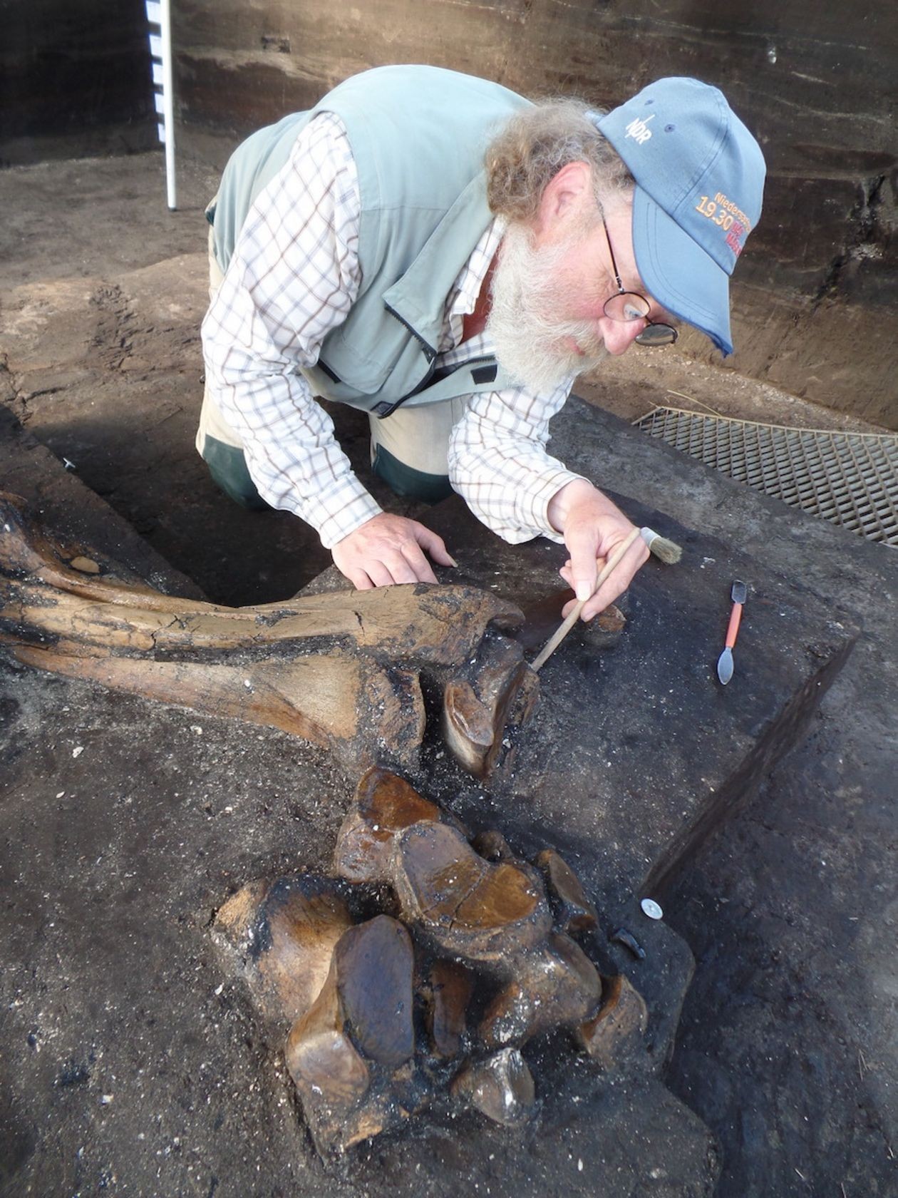 O pesquisador Martin Kursch escava uma das patas do animal (Foto: Universidade de Tübingen)