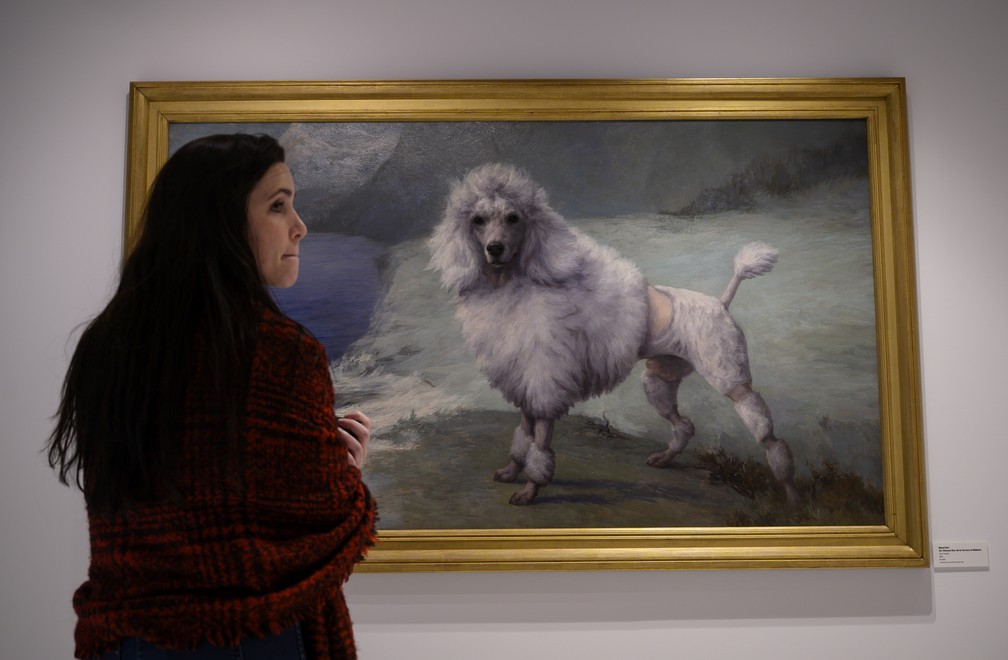 Quadro exposto no Museu Americano do Cachorro em Nova York — Foto: Johannes EISELE / AFP