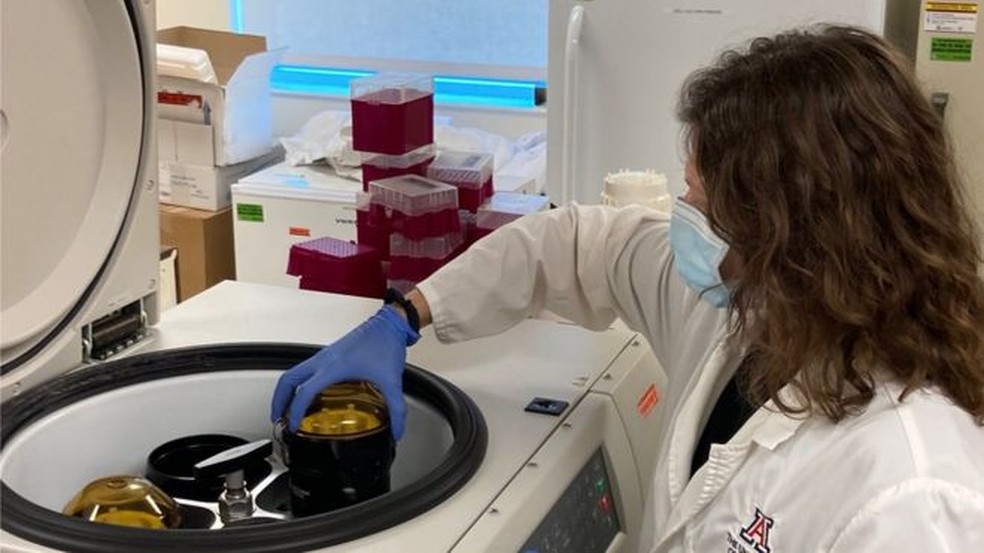 Dois alunos assintomáticos com Covid-19 foram diagnosticados graças a testes no esgoto — Foto: Universidade do Arizona via BBC