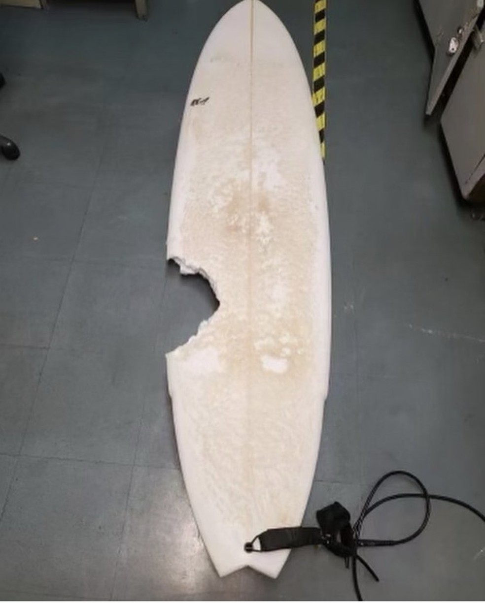 Prancha de surfista após ataque de tubarão — Foto: DLNR
