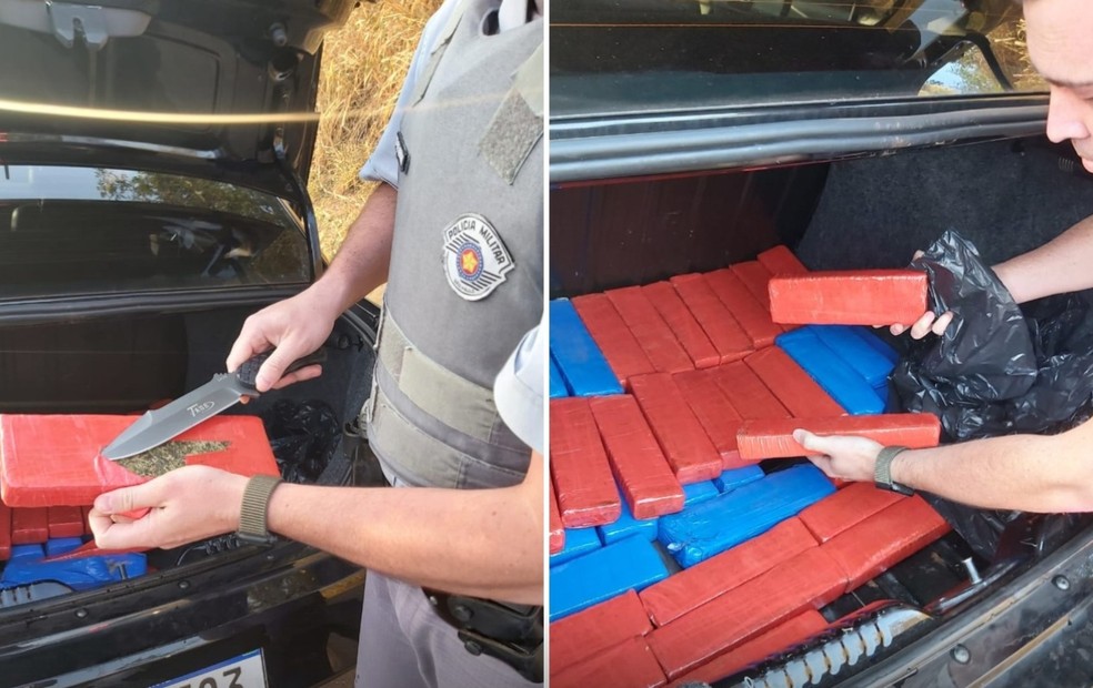 Polícia prende motorista que transportava 63 tijolos de maconha em Tatuí (SP) — Foto: Polícia Rodoviária/Divulgação