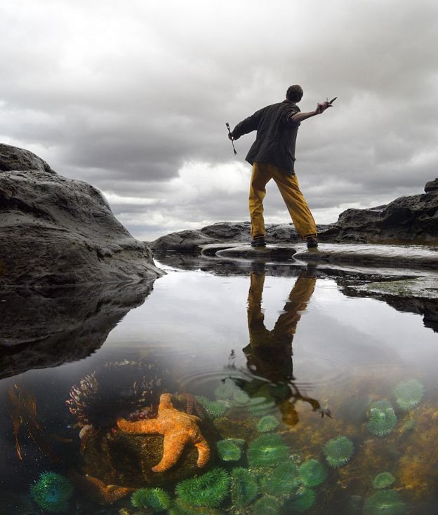 As poças de maré foram um laboratório natural para Robert Paine (Foto: PASSION PICTURES via BBC)