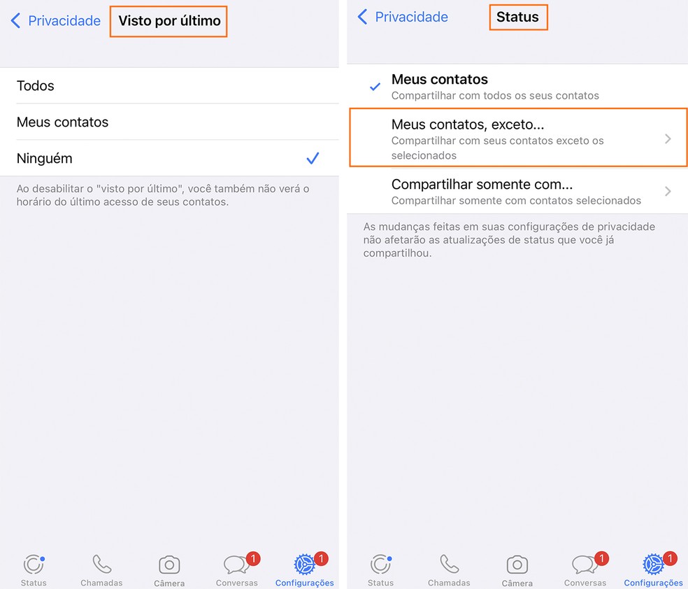 Visto Por Último está em testes para ser visível para apenas contatos selecionados no WhatsApp, semelhante à configuração de Status Online — Foto: Reprodução/Barbara Mannara