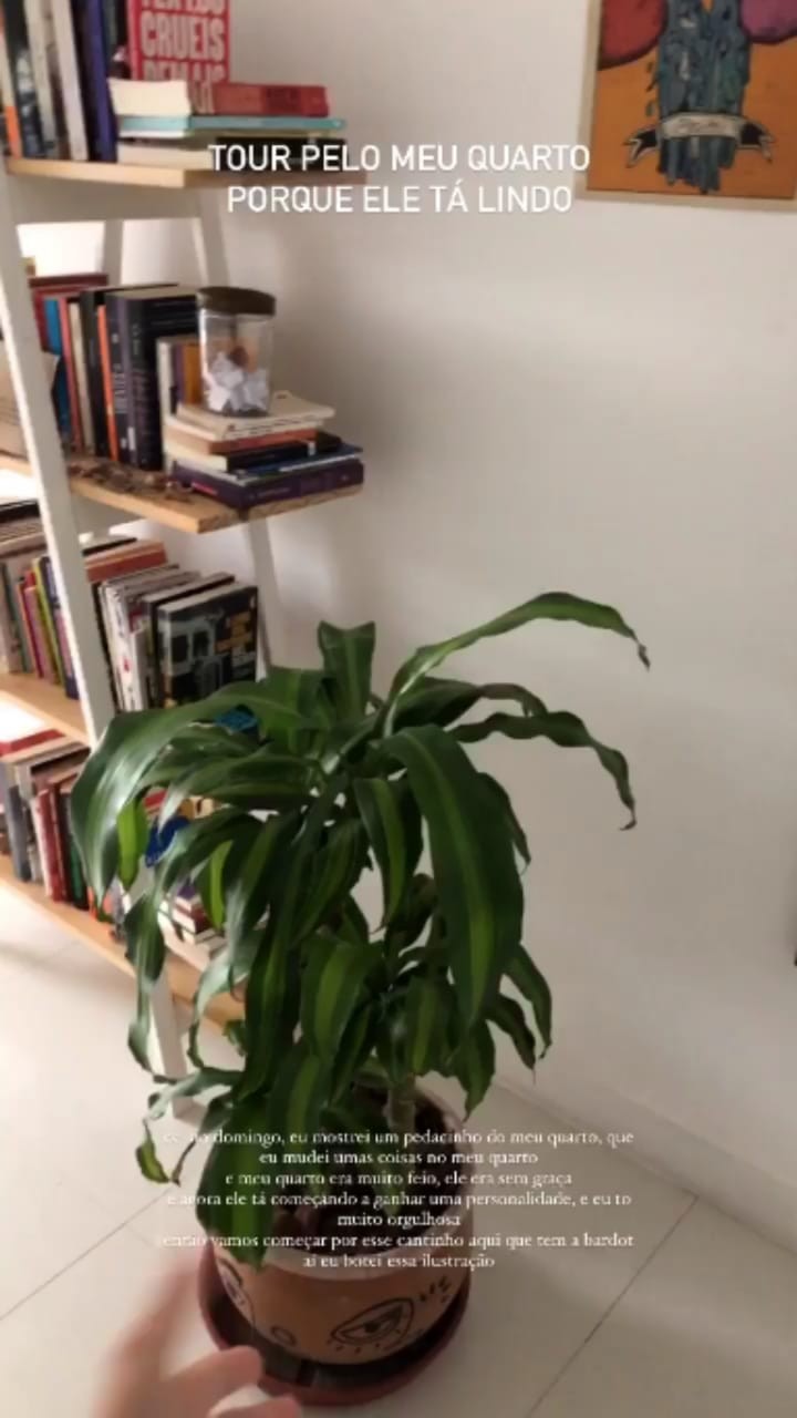 Valentina colocou várias plantas no cômodo e cada uma delas recebeu um nome (Foto: Reprodução/Instagram)