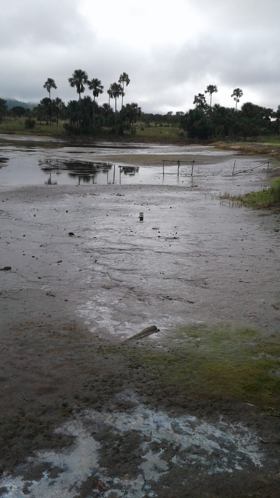 Ninguém ficou ferido no rompimento da represa — Foto: Paulo Borges/Prefeitura de Bandeirante do Tocantins