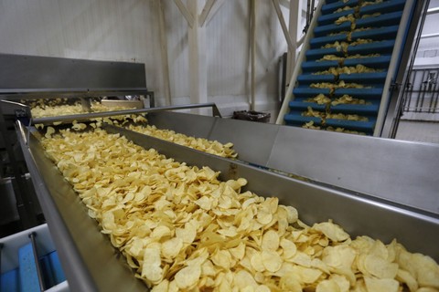 Produção de batatas chips em propriedade do Grupo Dzierwa, em Porto Amazonas (PR). Após a colheita, produto vira matéria-prima para produção de batatas chips pela PepsiCo