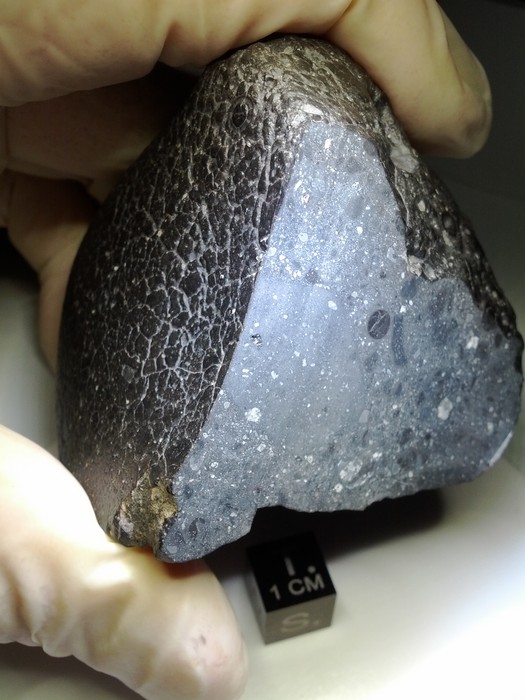 Fragmento do meteorito Black Beauty (Foto: Reprodução/Nasa)