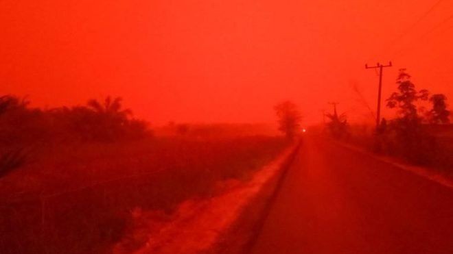 A situação na província de Jambi, na Indonésia, parecia ter saído de um filme pós-apocalíptico (Foto: Eka Wulandari via BBC)