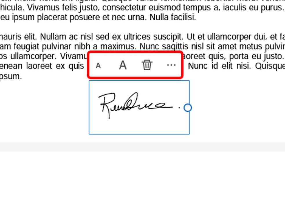 É possível movimentar e mudar o tamanho da assinatura digital no PDF — Foto: Reprodução/Rodrigo Fernandes