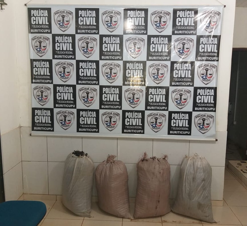 Droga estava armazenada em sacos que são usados para o transporte de grãos. — Foto: Divulgação/Polícia Civil do Maranhão
