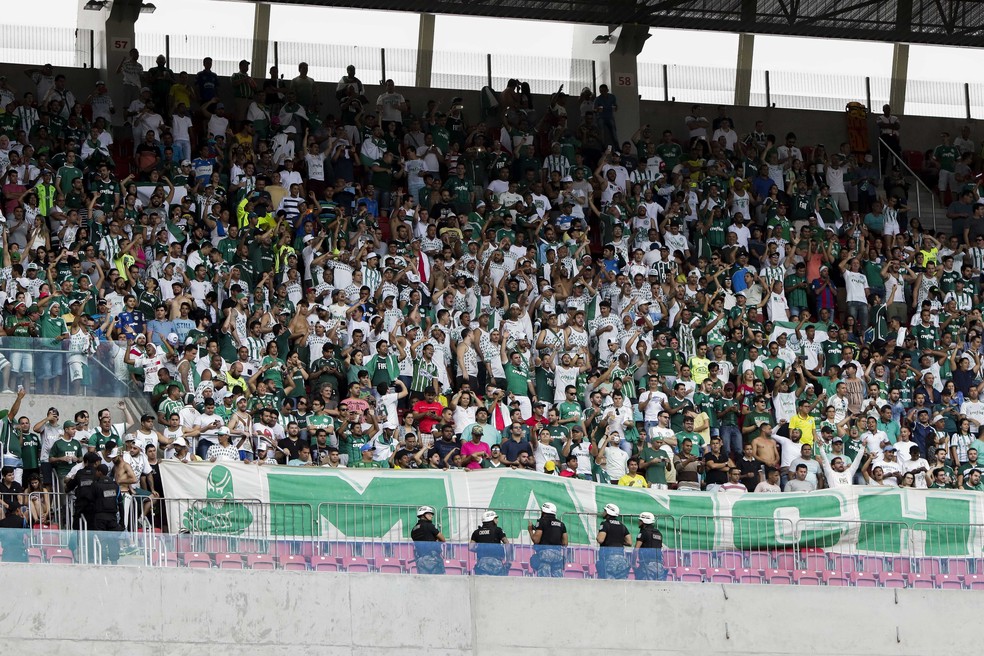 Torcida do Palmeiras na Arena Pernambuco durante jogo com o Sport (Foto: CLELIO TOMAZ/AGIF/ESTADÃO CONTEÚDO)
