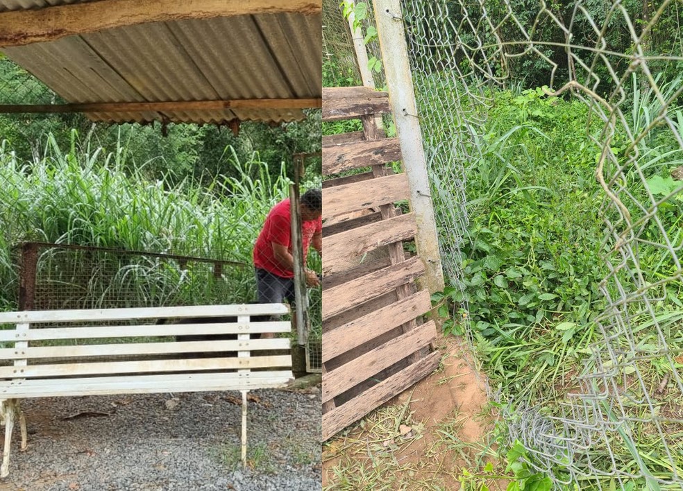 Criminosos arrombaram as cercas e abriram os portões de nove canis do GPA de Registro (SP)  — Foto: Arquivo Pessoal