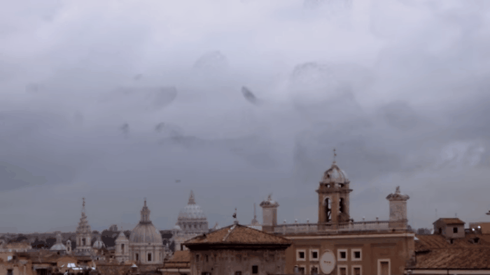 Estorninhos em Roma. (Foto: Reprodução / YouTube)